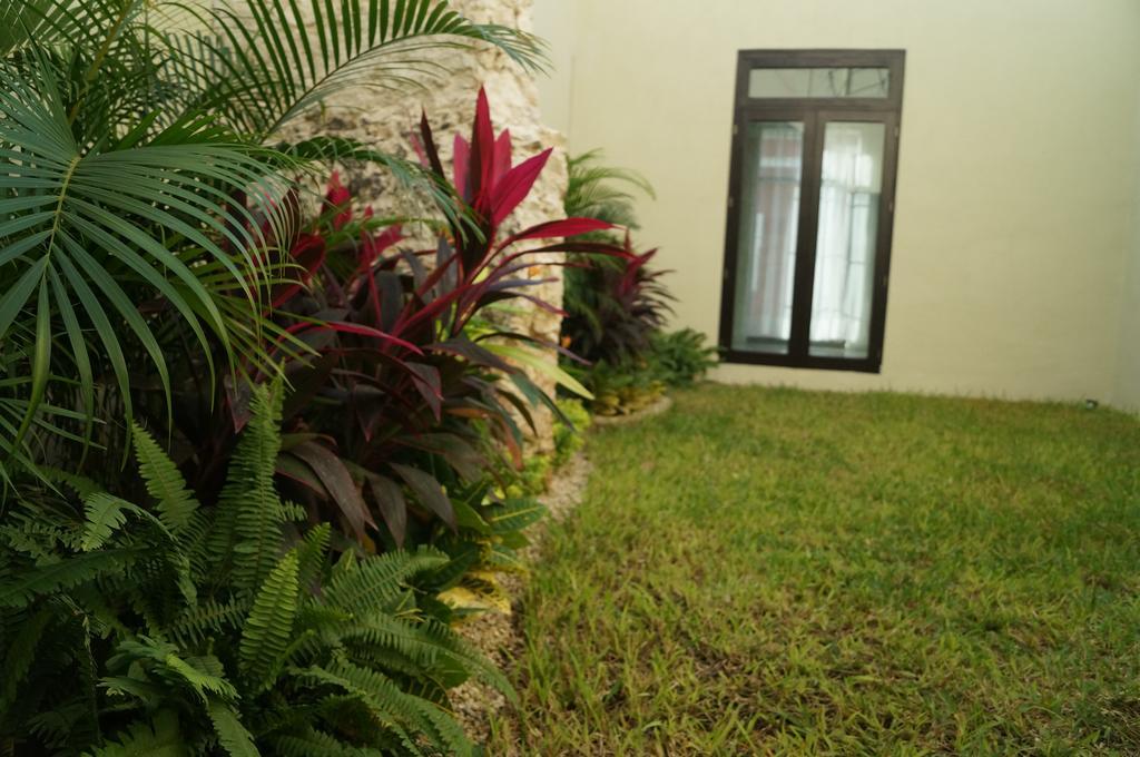Hotel Casa Palomino Mérida Zewnętrze zdjęcie