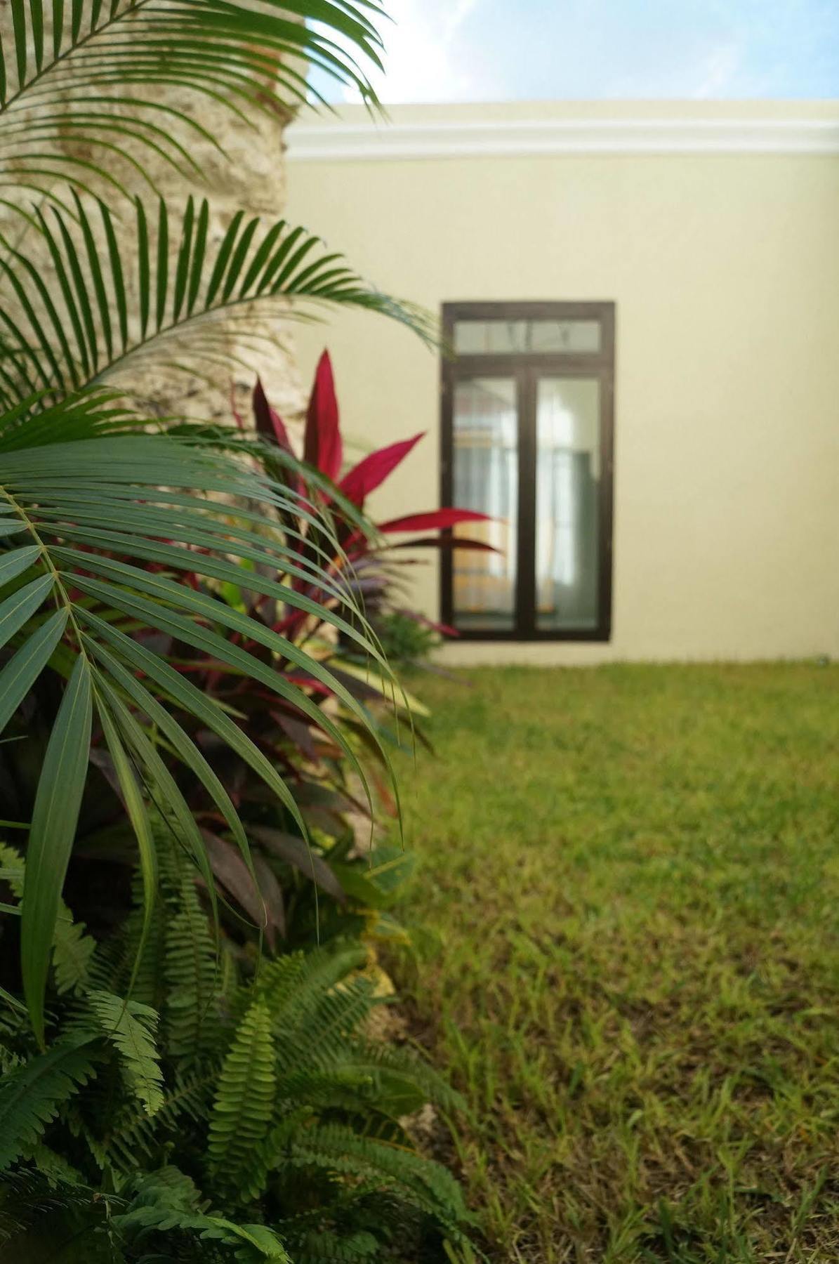 Hotel Casa Palomino Mérida Zewnętrze zdjęcie