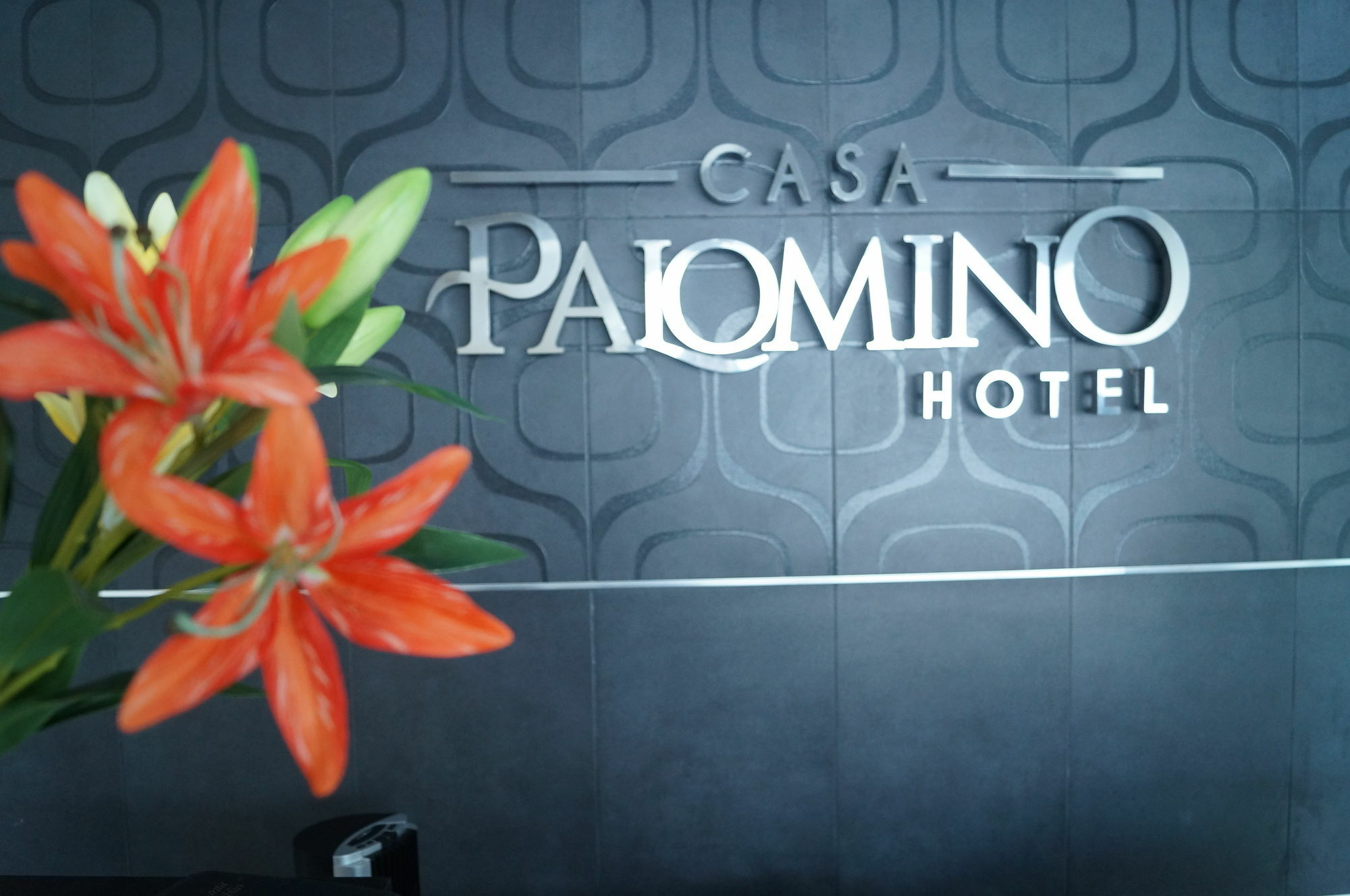 Hotel Casa Palomino Mérida Zewnętrze zdjęcie