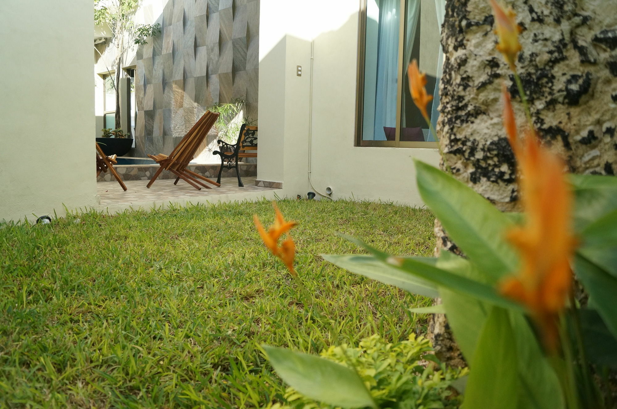 Hotel Casa Palomino Mérida Zewnętrze zdjęcie